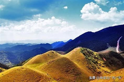 十萬大山|「十萬大山」真的有十萬座嗎，它們在中國何處